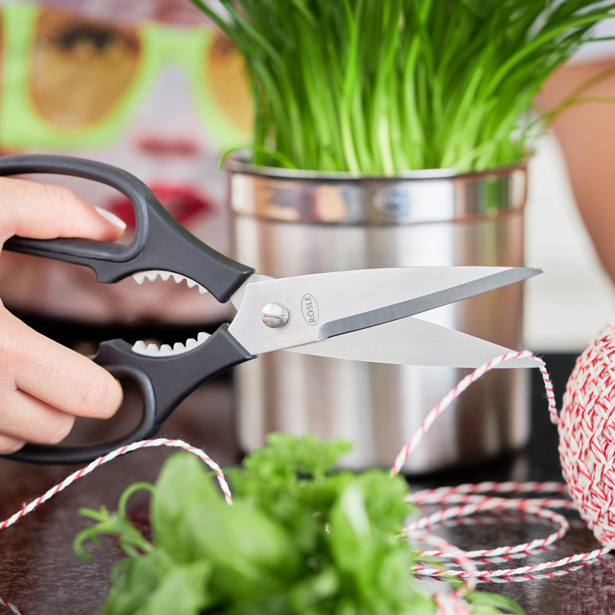 Kitchen Scissors
