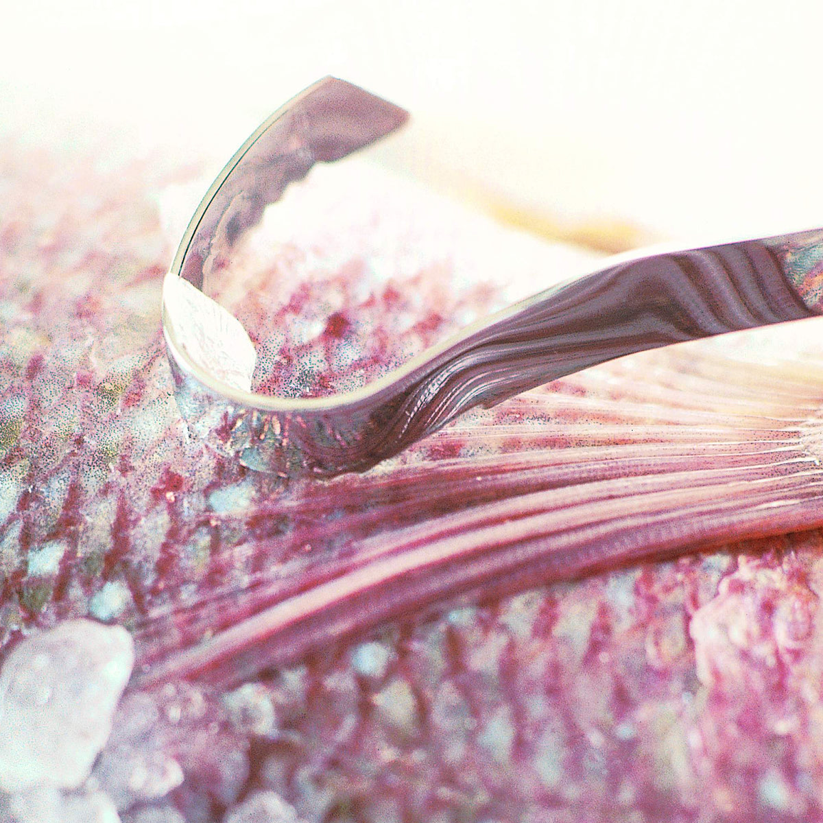 Fish Scaler
