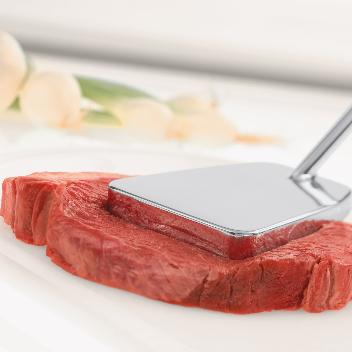 Meat Tenderizer